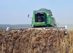 Уборка урожая