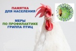 В Н И М А Н И Е! ГРИПП ПТИЦ ПРИБЛИЖАЕТСЯ!