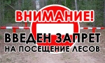 Об ограничении пребывания граждан в лесу