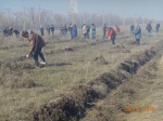 Мероприятия по благоустройству