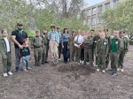 «Сад Связь поколений»