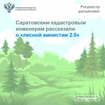 Саратовским кадастровым инженерам рассказали  о «лесной амнистии 2.0»