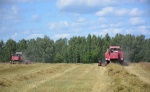 Урожай 2023