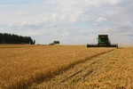 Уборка урожая