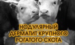Памятка