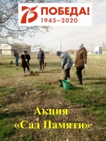 Всероссийская акция «Сад Памяти» 