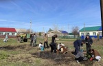 Участие во Всероссийской эколого-патриотической акции «Сад Памяти»