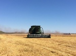 Уборка урожая