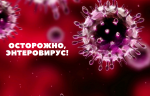 Осторожно! Энтеровирусная инфекция!
