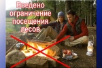 Об ограничении пребывания граждан в лесу