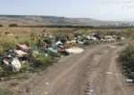 Саратовский регоператор выявил несанкционированную свалку в Гагаринском районе