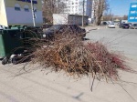 Регоператор создал все условия для легальной обработки мусора после субботников