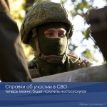 Справки об участии в СВО теперь можно будет получить на Госуслугах