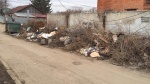 Жители в период самоизоляции приступили к опиловке деревьев
