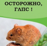 Сезонная заболеваемость ГЛПС (геморрагическая лихорадка с почечным синдромом)