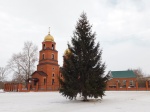 Установлен главный символ новогоднего праздника.