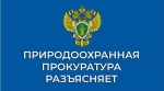 Саратовская межрайонная природоохранная прокуратура разъясняет порядок уплаты экологического сбора