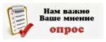 Проведение онлайн-опросов