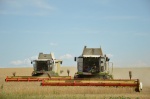 На полях района продолжается уборочная страда. 