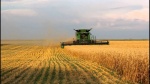 Уборка урожая