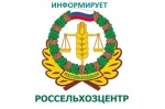 Сорта яблонь для реализации.
