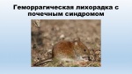 Памятка для населения: "Профилактика геморрагической лихорадки с почечным синдромом (ГЛПС)"
