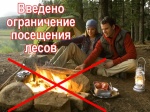 Балаковское лесничество информирует