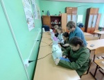 Профессиональное воспитание: путь к будущей профессии