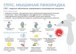 Памятка для населения: "Профилактика геморрагической лихорадки с почечным синдромом (ГЛПС)"