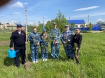 Сад Памяти - 2024!