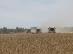 Уборка урожая