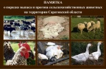 ПАМЯТКА