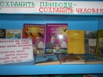 Выставка
