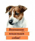 Вниманию владельцев собак! 