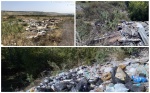 Саратовский регоператор вывез с несанкционированных свалок более 2 тыс. кубометров различных отходов