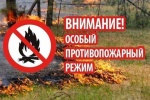 На землях лесного фонда Саратовской области с 27 апреля по 31 октября 2024 года устанавливается особый противопожарный режим. 