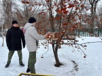 Доброе дело.