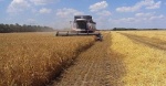 Урожай 2023