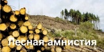 Закон о «лесной амнистии» позволяет жителям региона сохранить свое право на объекты недвижимости