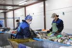 В отрасли обращения с ТКО создано свыше 1000 рабочих мест  
