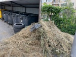 Саратовский регоператор напоминает порядок вывоза растительных отходов после субботников