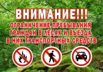 Об ограничении пребывания граждан в лесах 