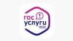 Цифровые платформы помогают взаимодействовать населению с органами власти