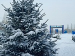 Более 10 тысяч тонн отходов поступило на объекты АО «Ситиматик» с начала года