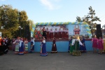 день поселка