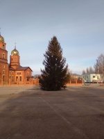 Установлена главная ель района.