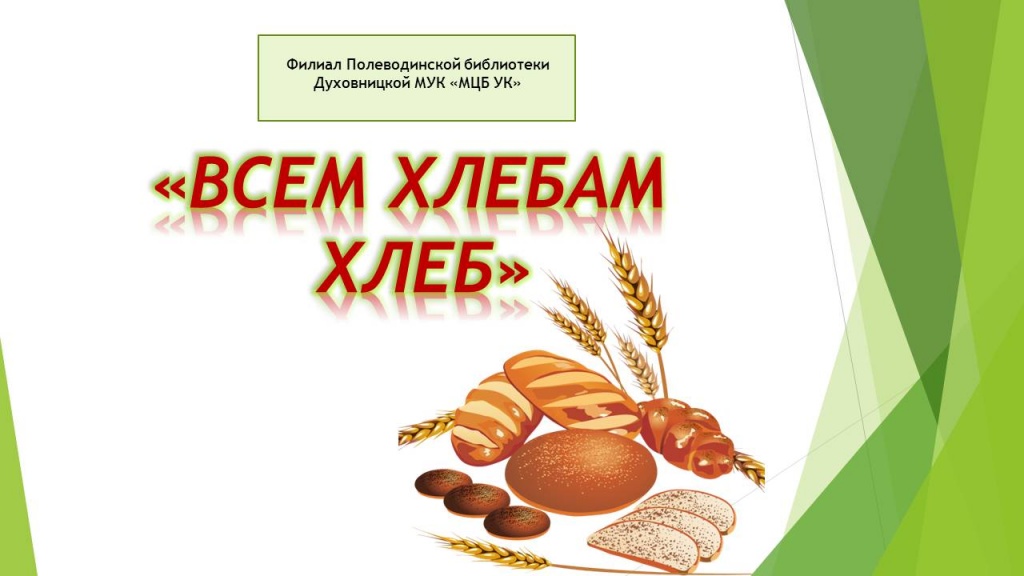 Слайд1.JPG