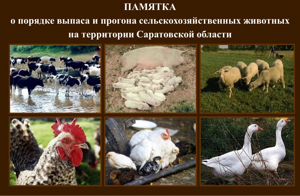 Памятка.jpg
