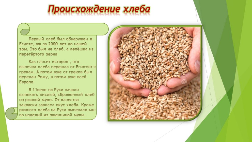 Слайд3.JPG