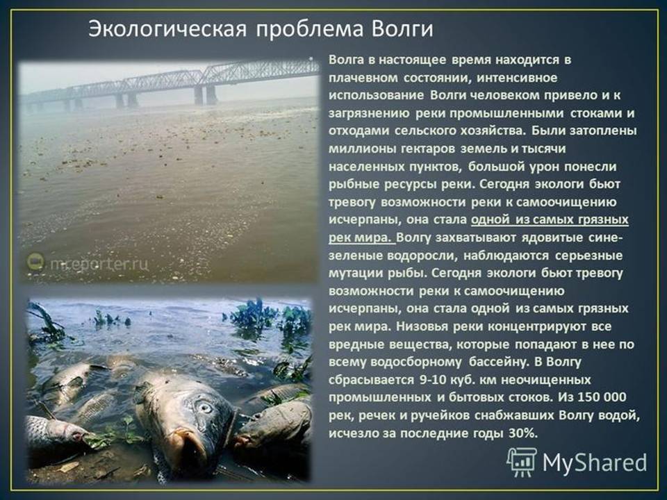 Слайд11.JPG